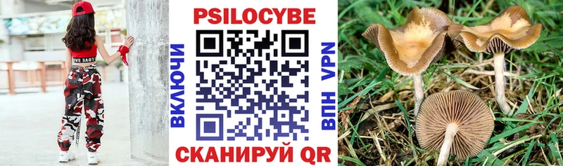 Купить закладки  Сорск  Галлюциногенные грибы прущие грибы 